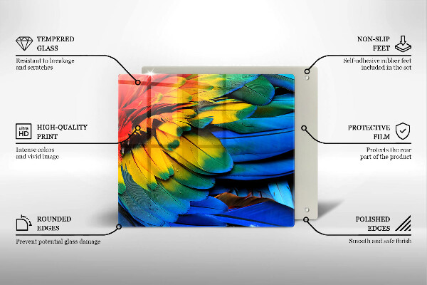 Protection plaque induction Plumes de perroquet colorées