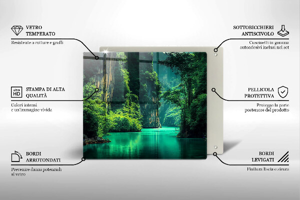 Protection plaque induction Paysage lagon