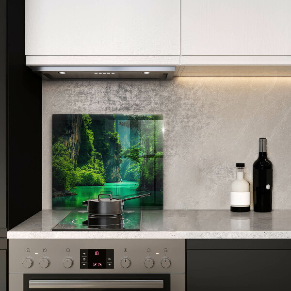 Protection plaque induction Paysage lagon