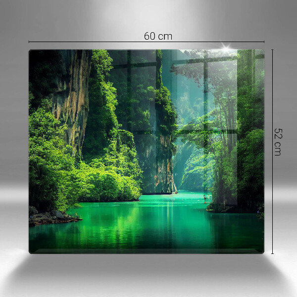 Protection plaque induction Paysage lagon