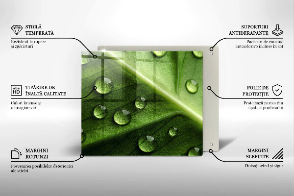 Protection plaque induction Nature rosée et feuille