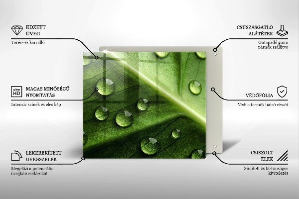 Protection plaque induction Nature rosée et feuille