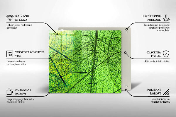 Protection plaque induction Nervures des feuilles naturelles
