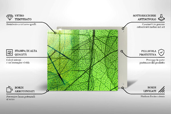 Protection plaque induction Nervures des feuilles naturelles