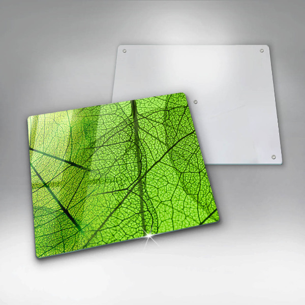 Protection plaque induction Nervures des feuilles naturelles