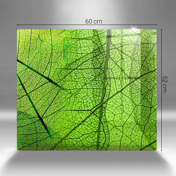 Protection plaque induction Nervures des feuilles naturelles