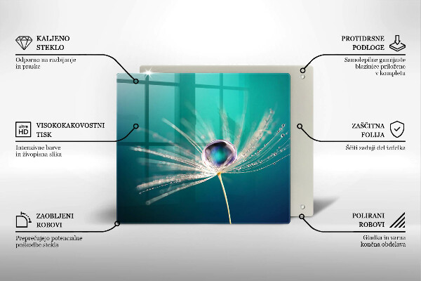 Protection plaque induction Rosée sur un pissenlit