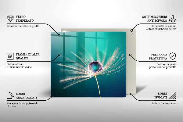 Protection plaque induction Rosée sur un pissenlit