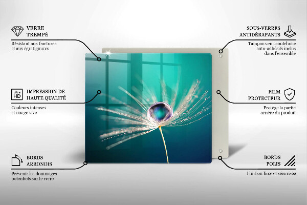 Protection plaque induction Rosée sur un pissenlit