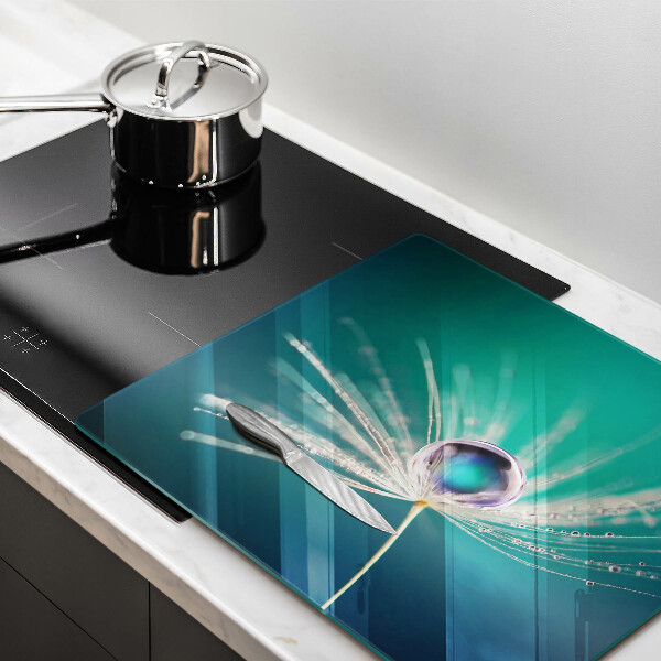 Protection plaque induction Rosée sur un pissenlit