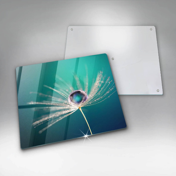 Protection plaque induction Rosée sur un pissenlit