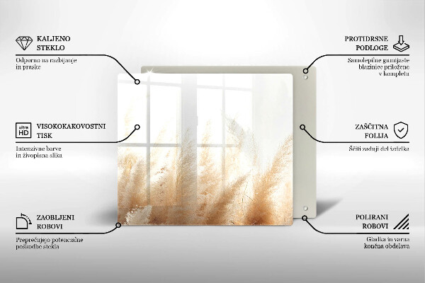 Protection plaque induction Herbe de la pampa