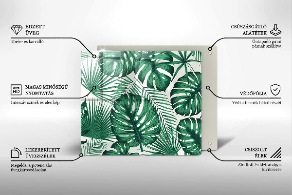 Protection plaque induction Feuilles de monstre