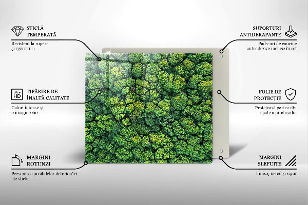 Protection plaque induction Plante de mousse naturelle