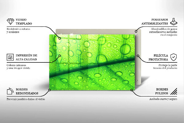 Protège plaque de cuisson Gros plan d'une feuille-plan al unei frunze