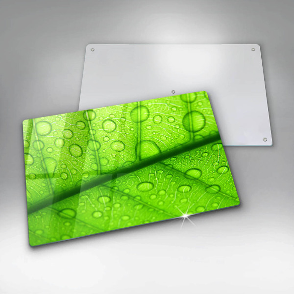 Protège plaque de cuisson Gros plan d'une feuille-plan al unei frunze