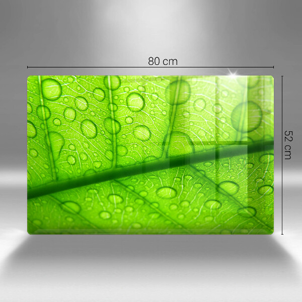 Protège plaque de cuisson Gros plan d'une feuille-plan al unei frunze