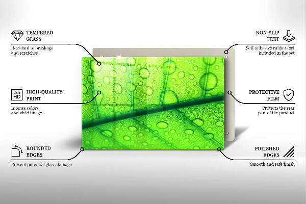 Protège plaque de cuisson Gros plan d'une feuille-plan al unei frunze