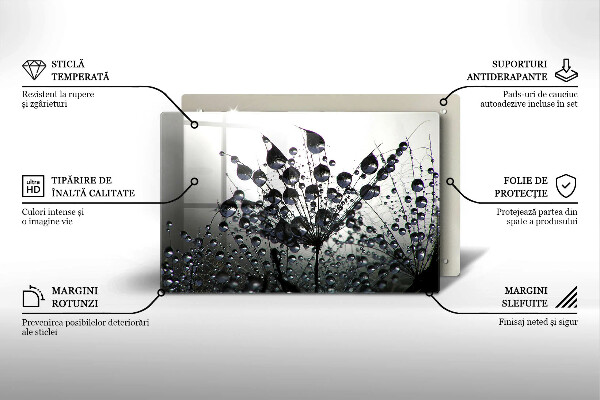 Protection plaque induction Pissenlits et rosée