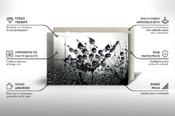 Protection plaque induction Pissenlits et rosée