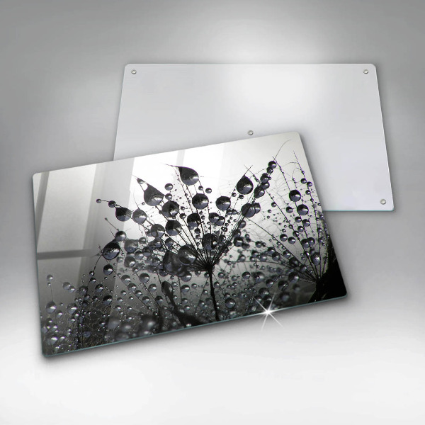 Protection plaque induction Pissenlits et rosée