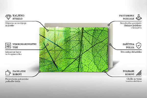 Protection plaque induction Nervures des feuilles naturelles