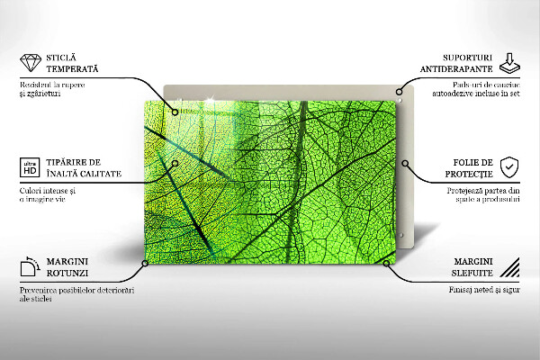 Protection plaque induction Nervures des feuilles naturelles
