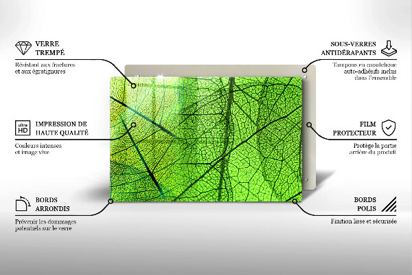 Protection plaque induction Nervures des feuilles naturelles