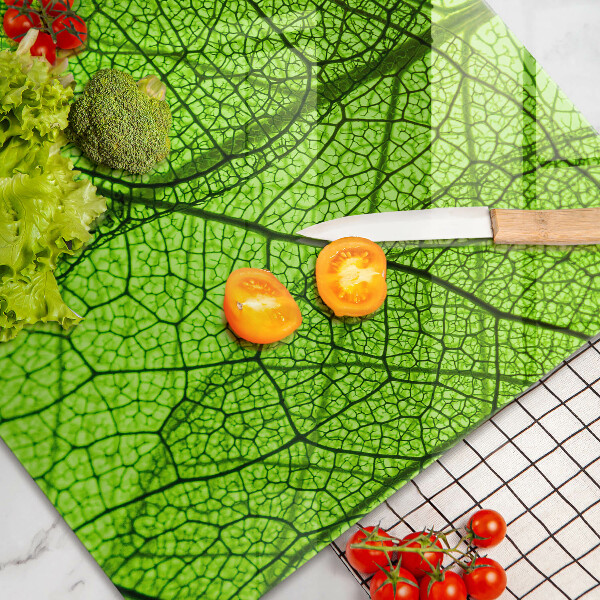 Protection plaque induction Nervures des feuilles naturelles