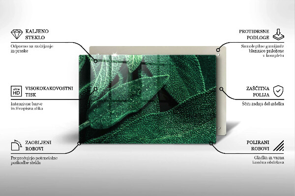 Protection plaque induction Les feuilles de la plante