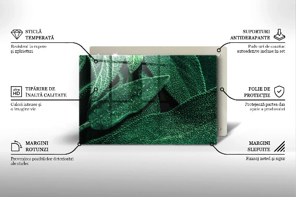 Protection plaque induction Les feuilles de la plante