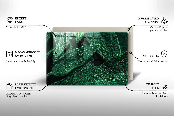 Protection plaque induction Les feuilles de la plante