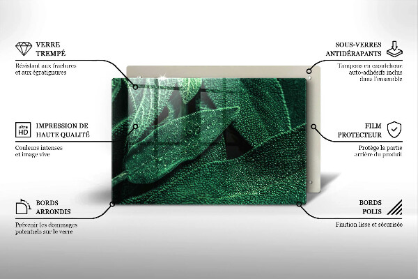 Protection plaque induction Les feuilles de la plante