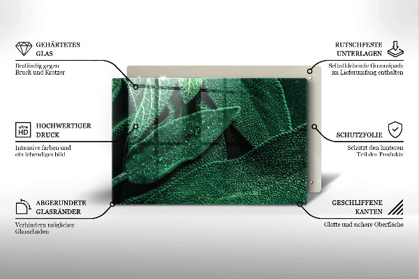 Protection plaque induction Les feuilles de la plante