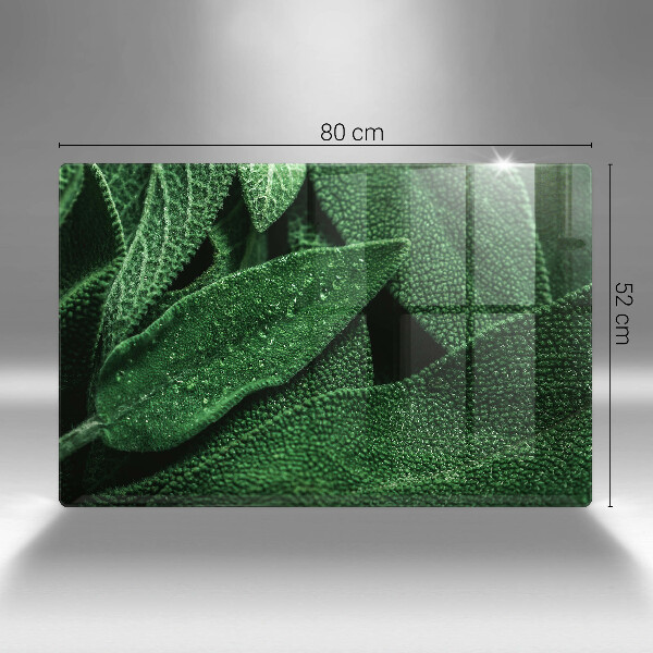 Protection plaque induction Les feuilles de la plante