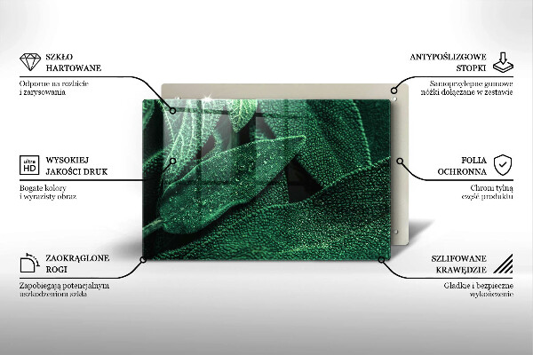 Protection plaque induction Les feuilles de la plante