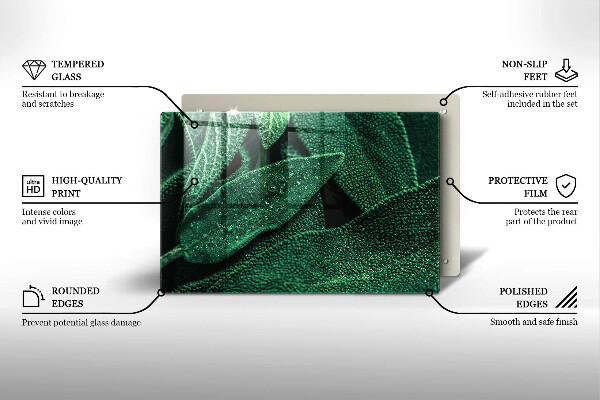 Protection plaque induction Les feuilles de la plante