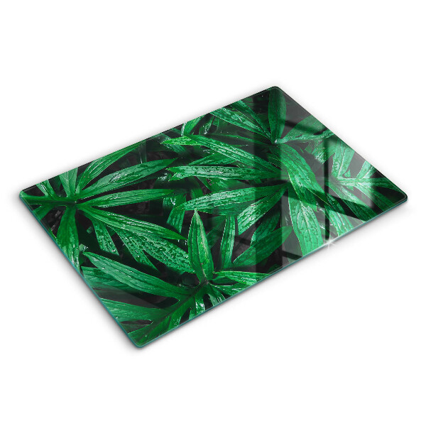 Cache plaque de cuisson Feuilles de plantes