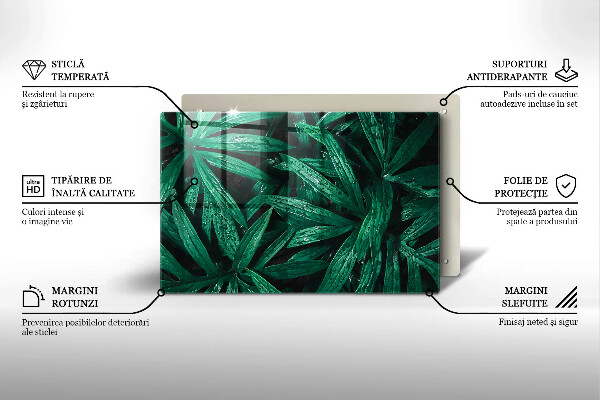 Cache plaque de cuisson Feuilles de plantes