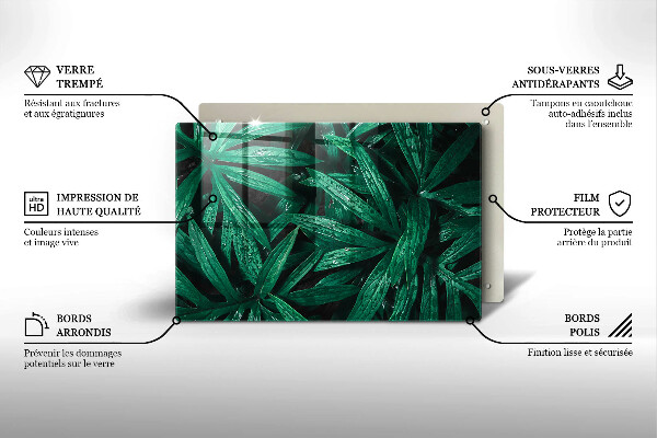 Cache plaque de cuisson Feuilles de plantes