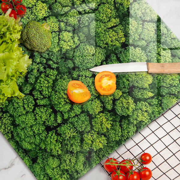 Protection plaque induction Plante de mousse naturelle