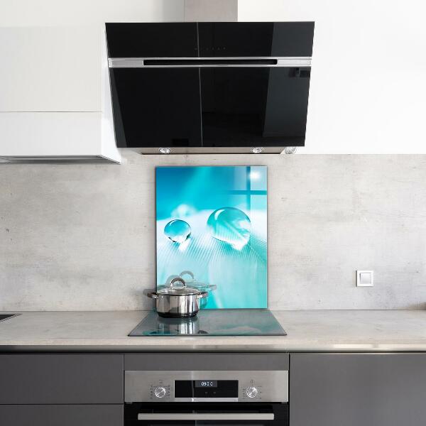 Panneau pour cuisine Rosée sur plume délicate