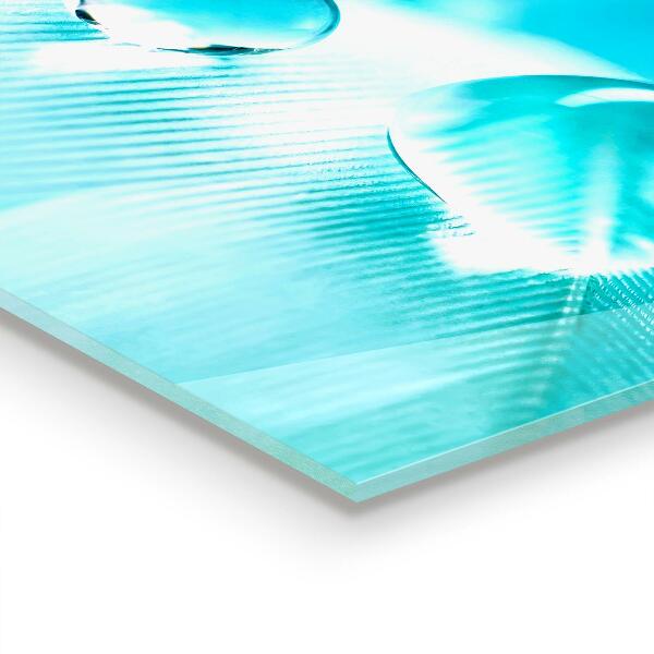 Panneau pour cuisine Rosée sur plume délicate