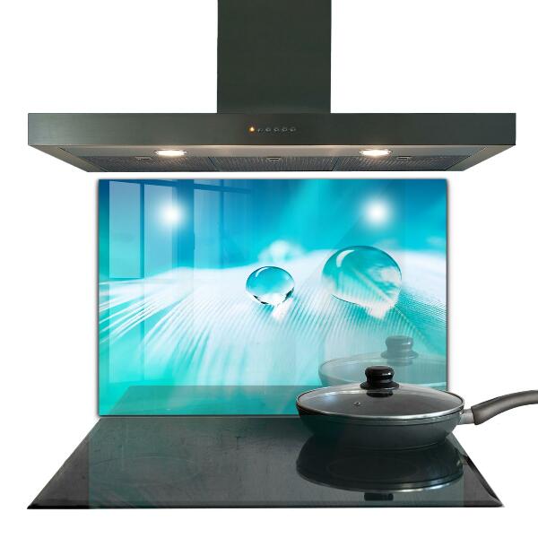 Panneau pour cuisine Rosée sur plume délicate