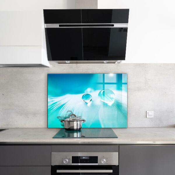 Panneau pour cuisine Rosée sur plume délicate