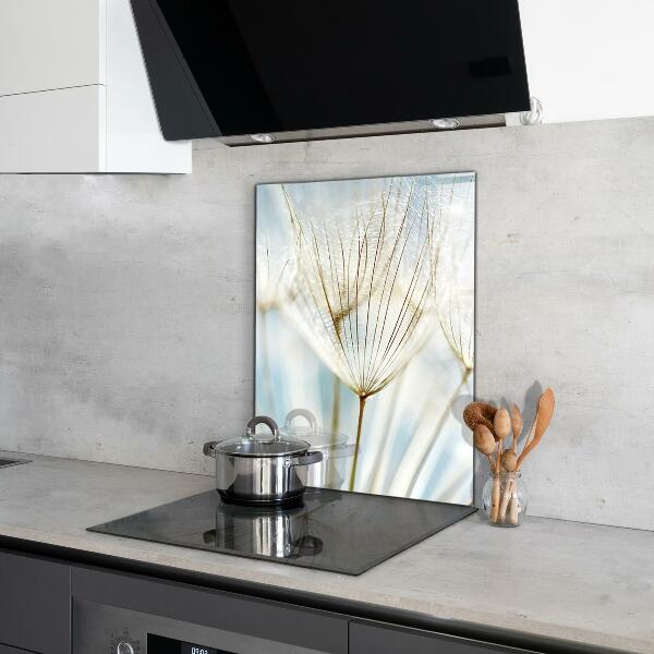 Crédence cuisine en verre Pissenlit pissenlit dans le vent
