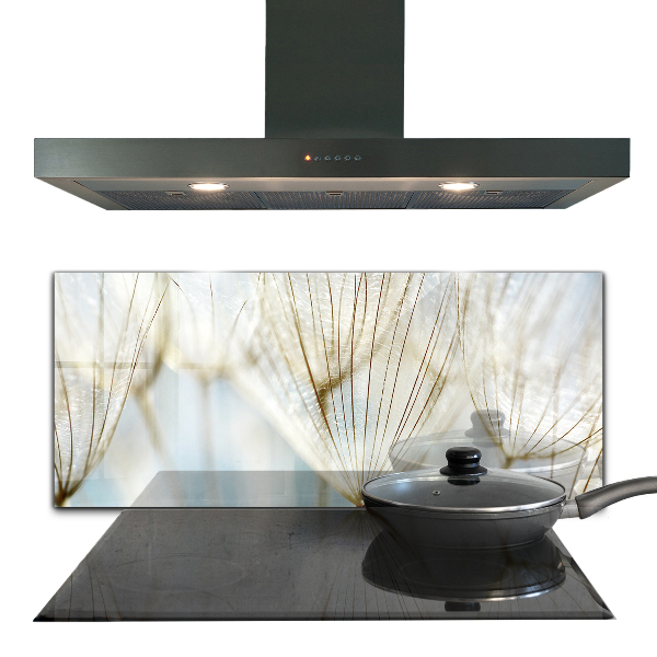 Crédence cuisine en verre Pissenlit pissenlit dans le vent