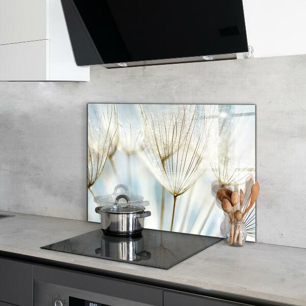 Crédence cuisine en verre Pissenlit pissenlit dans le vent