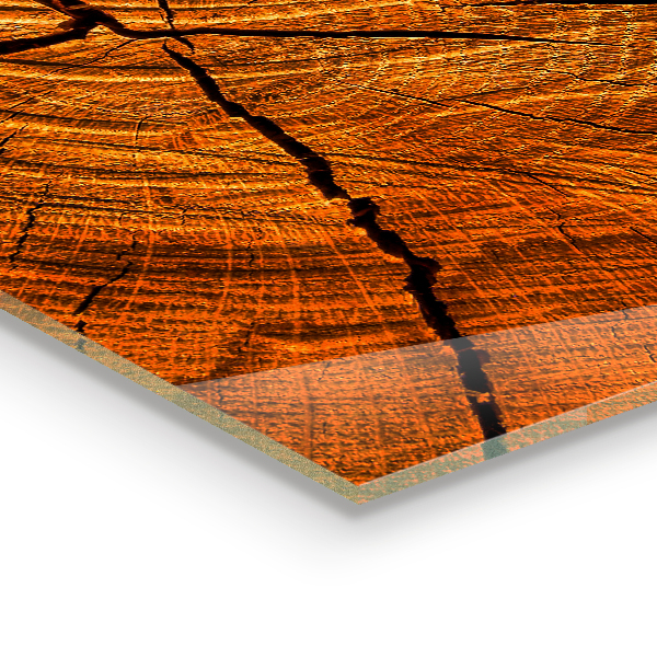 Crédence en verre Structure du tronc