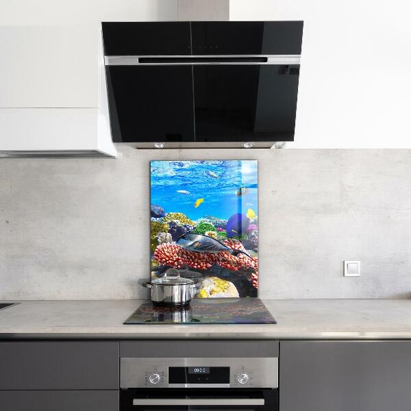 Crédence cuisine en verre Récif corail mer rouge